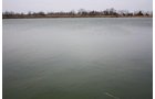 Property photo 11 - ABSOLUTE AUCTION - 298 Acres Offered in 4 Tracts